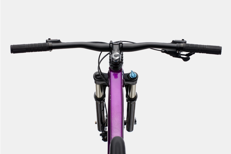  Cannondale Trail SE 4 Womens Mountain Bike in Purple -5